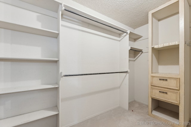 view of spacious closet