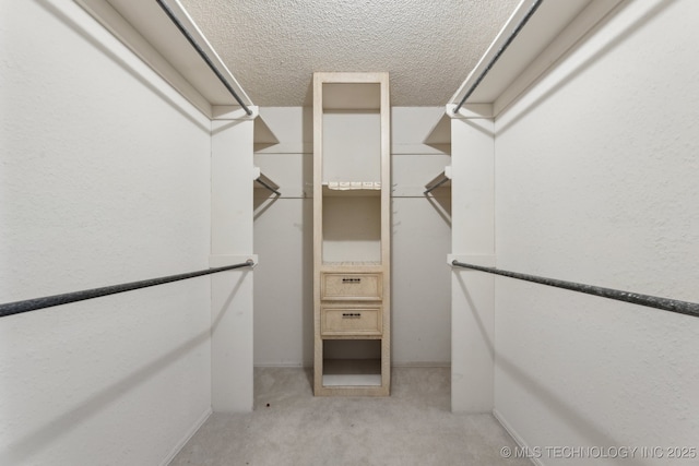 spacious closet with light carpet