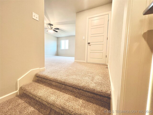 interior space featuring carpet floors