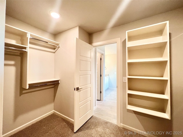 spacious closet with carpet floors