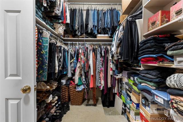 walk in closet with light carpet