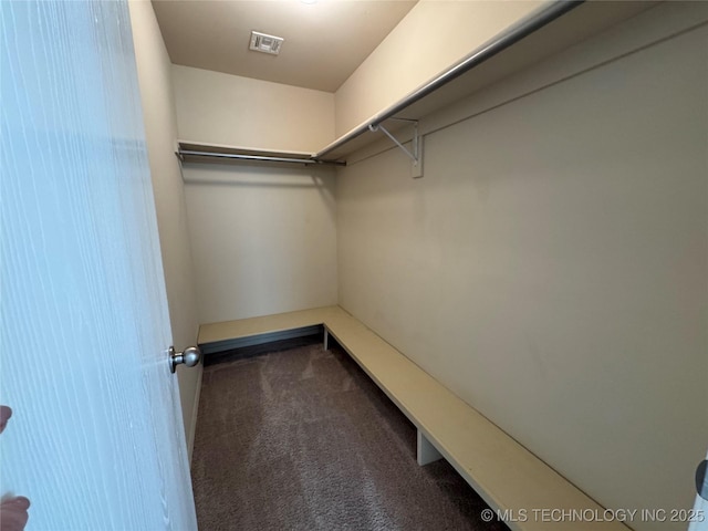 walk in closet with dark colored carpet