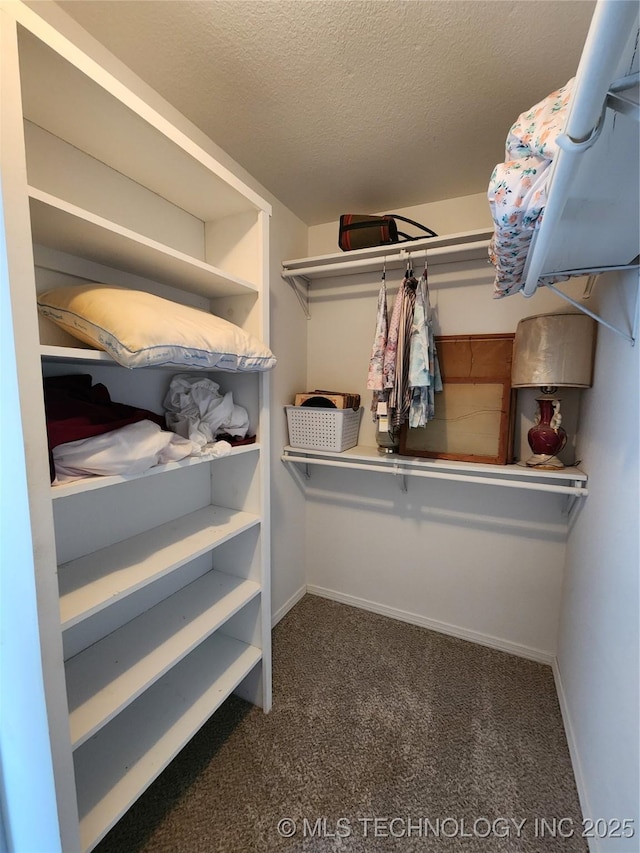 spacious closet featuring dark colored carpet