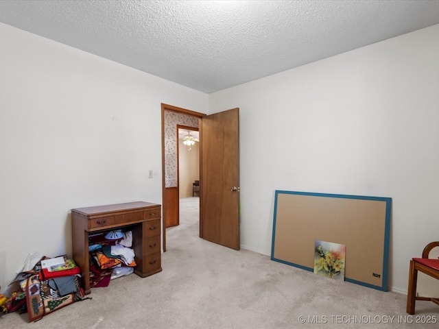 miscellaneous room with light carpet and a textured ceiling