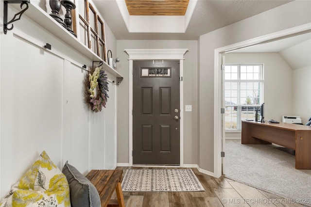 mudroom featuring wood-type flooring and a raised ceiling