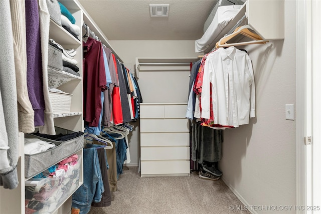 spacious closet with light carpet