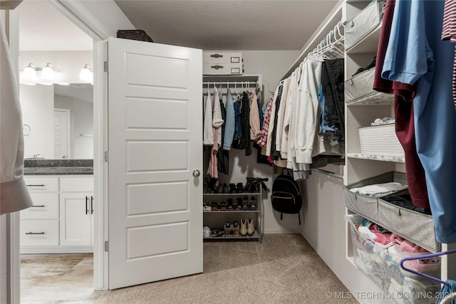 spacious closet with light colored carpet