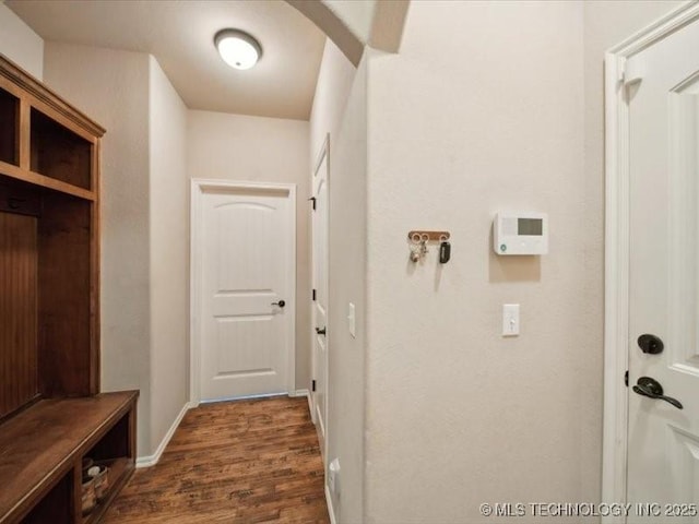 mudroom featuring dark hardwood / wood-style flooring