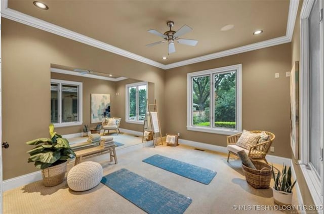 workout room with crown molding, carpet flooring, and ceiling fan