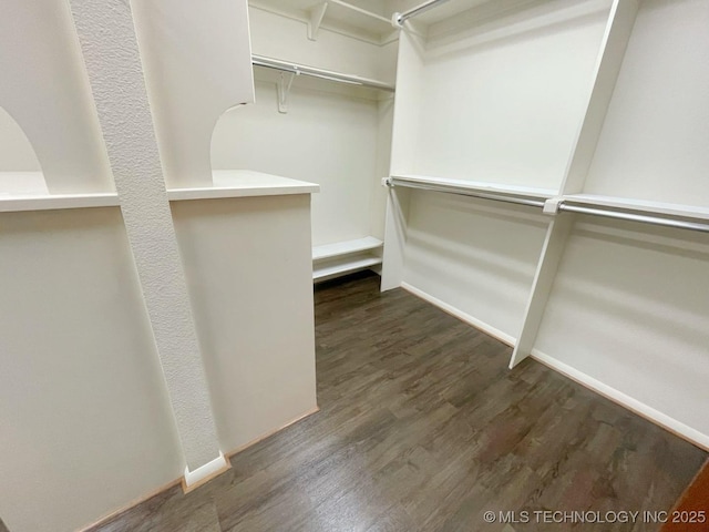 spacious closet featuring dark hardwood / wood-style floors