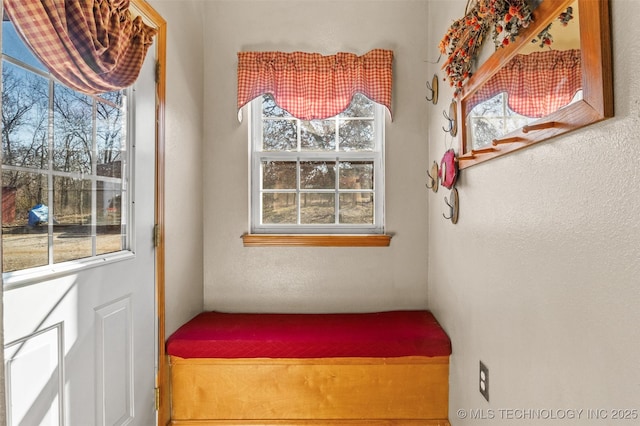 bedroom featuring multiple windows