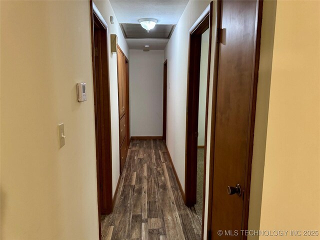 hallway featuring dark wood-type flooring