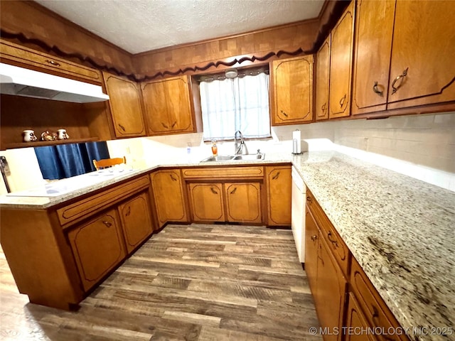 kitchen with sink, dark wood-type flooring, dishwasher, light stone countertops, and a textured ceiling