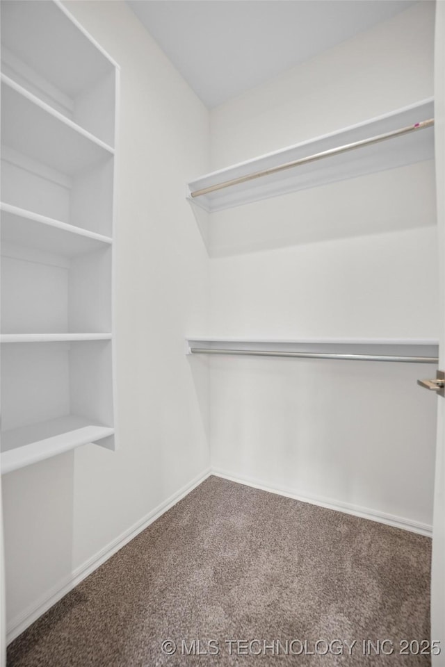 walk in closet featuring carpet