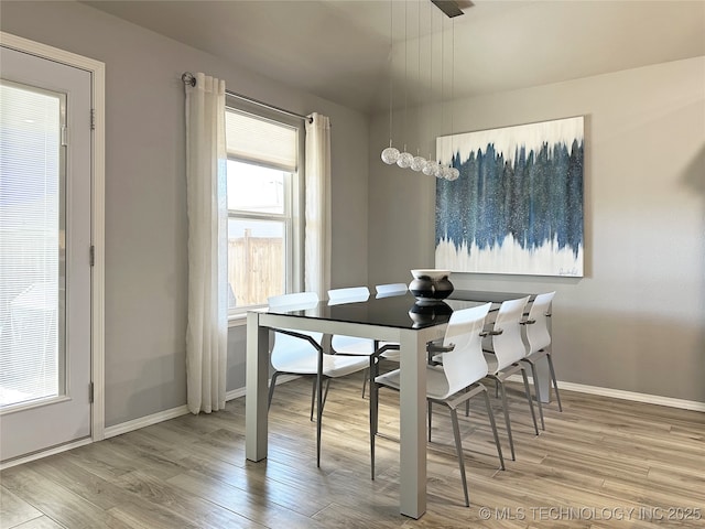 dining area with hardwood / wood-style flooring