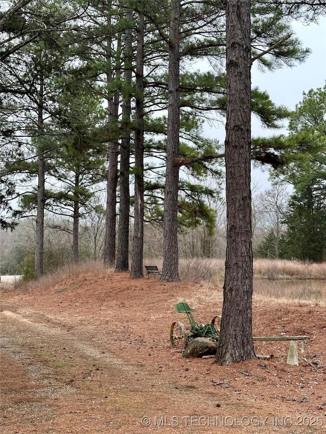 view of local wilderness