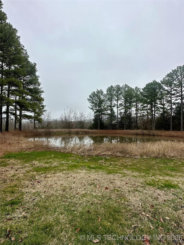 view of yard with a water view