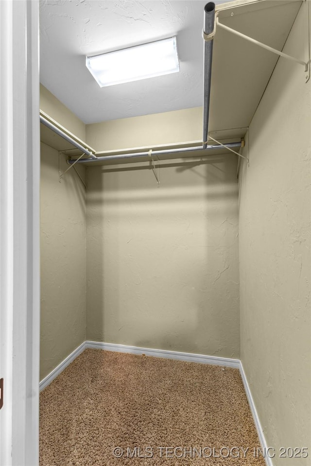 walk in closet featuring carpet flooring