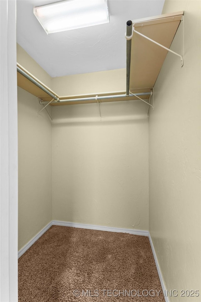 spacious closet featuring carpet flooring