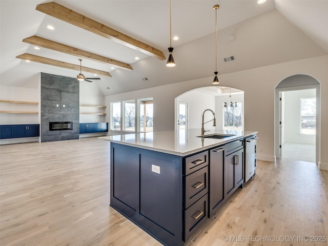 kitchen with an island with sink, a wealth of natural light, light wood-style flooring, and a sink