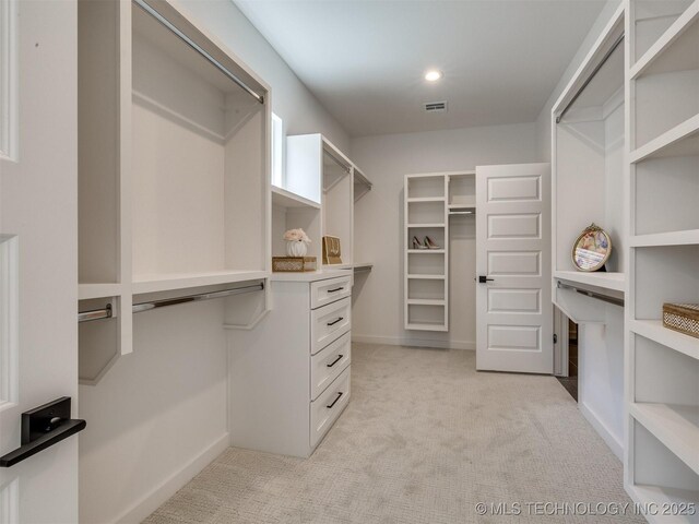 2508 E 135th Dr S, Bixby, OK 74008 - spacious closet with light carpet