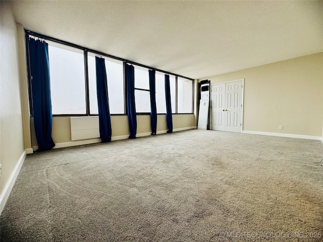 spare room featuring a textured ceiling and carpet flooring