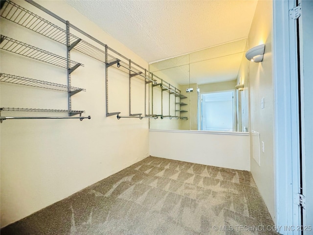 walk in closet featuring carpet flooring