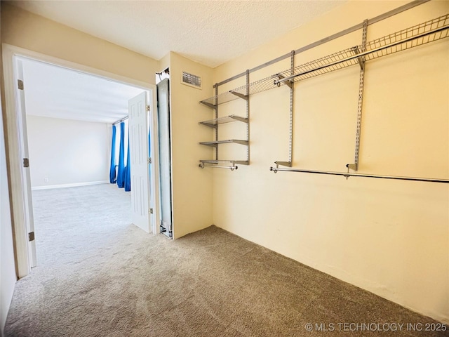 corridor with carpet flooring and a textured ceiling