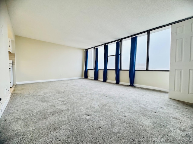 carpeted spare room featuring a textured ceiling