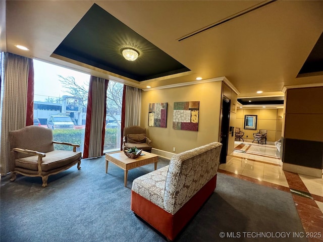 home theater room featuring a raised ceiling