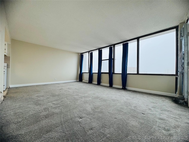 carpeted spare room with a wealth of natural light and a textured ceiling