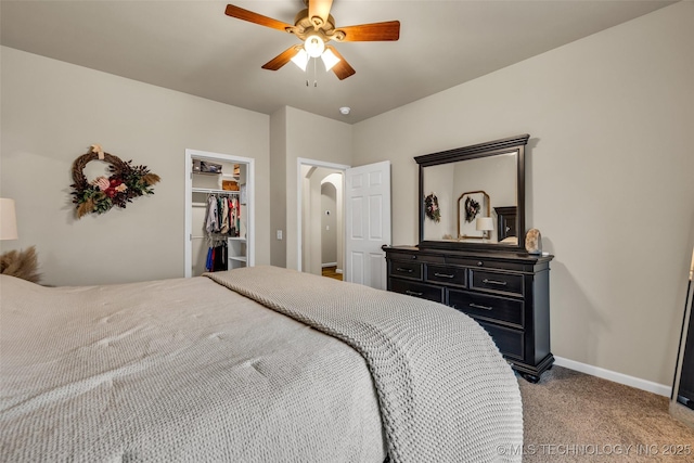 carpeted bedroom featuring a walk in closet, ceiling fan, and a closet