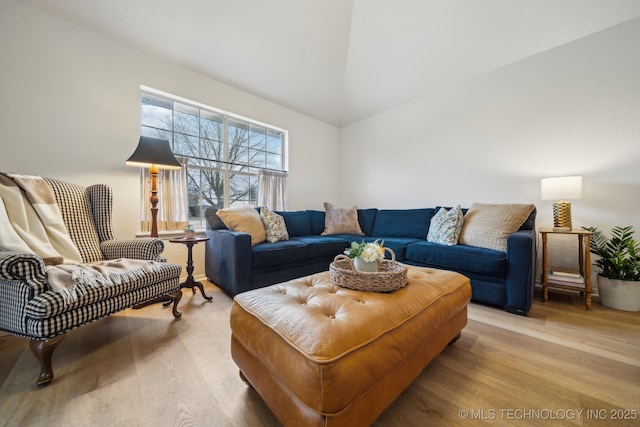 living room featuring wood-type flooring and lofted ceiling