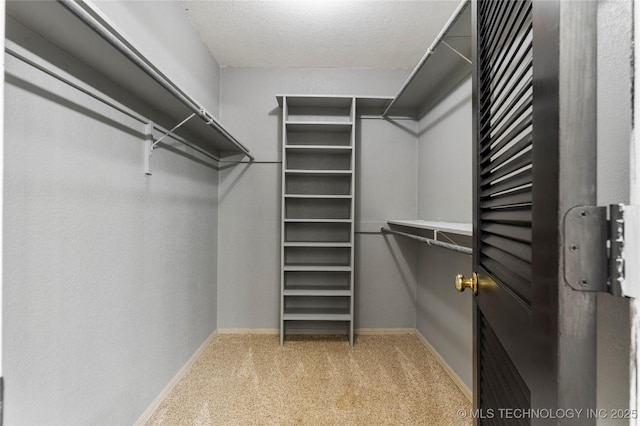 spacious closet with light carpet