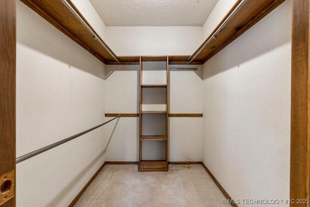 spacious closet with light carpet