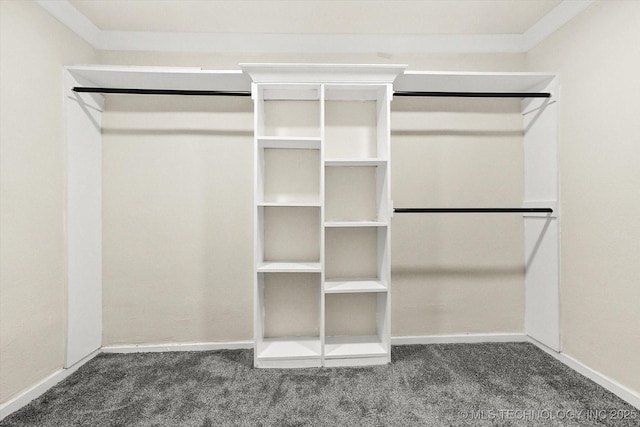 spacious closet featuring dark colored carpet