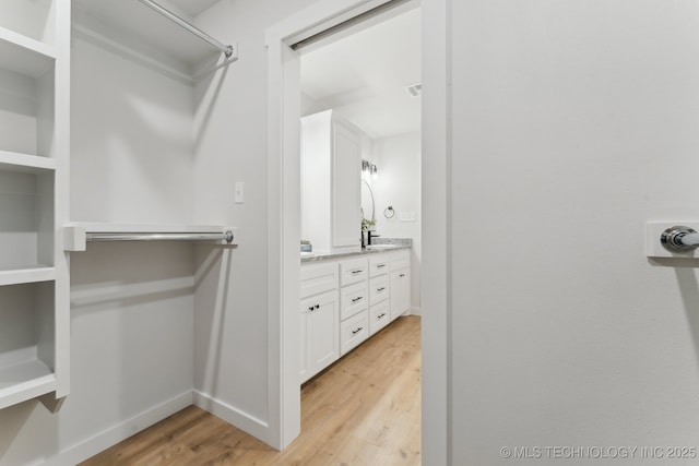 203 W Monroe Ave, Mcalester, OK 74501 - walk in closet with light wood-style floors and a sink