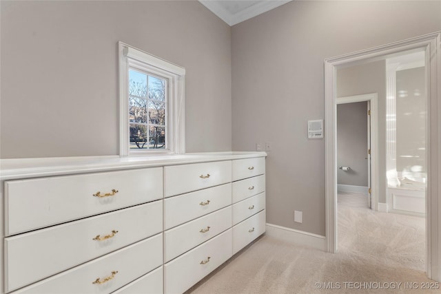 walk in closet with light carpet