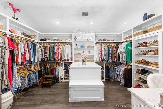 spacious closet featuring dark hardwood / wood-style flooring and a notable chandelier