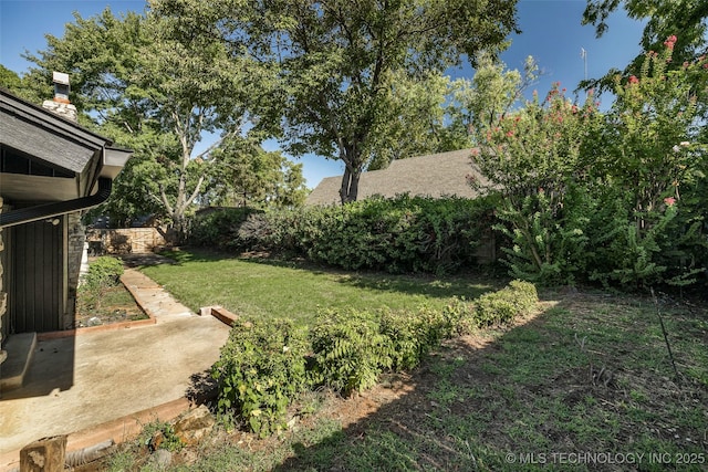 view of yard featuring a patio