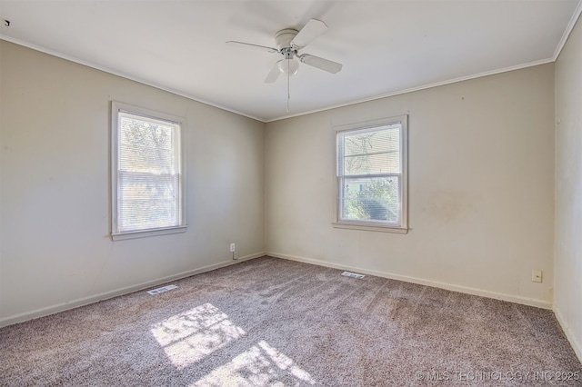 spare room with crown molding, ceiling fan, and carpet flooring