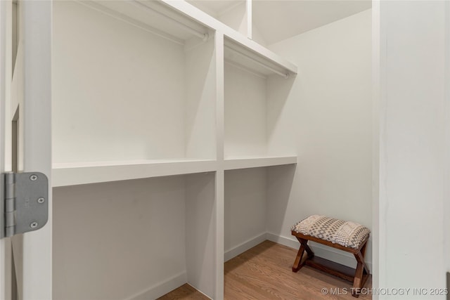 walk in closet featuring wood-type flooring