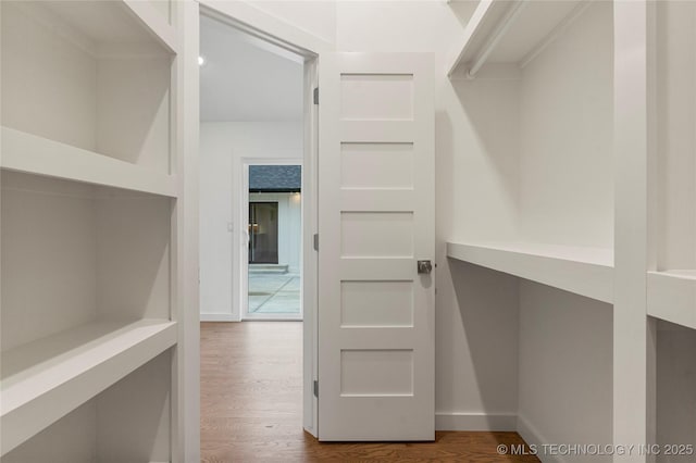 walk in closet with hardwood / wood-style floors