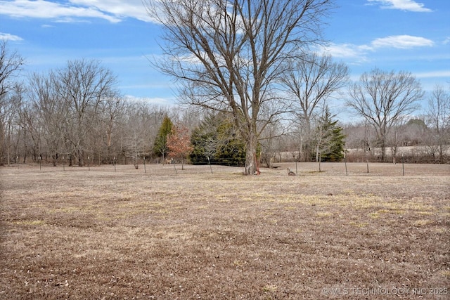 view of yard with a rural view