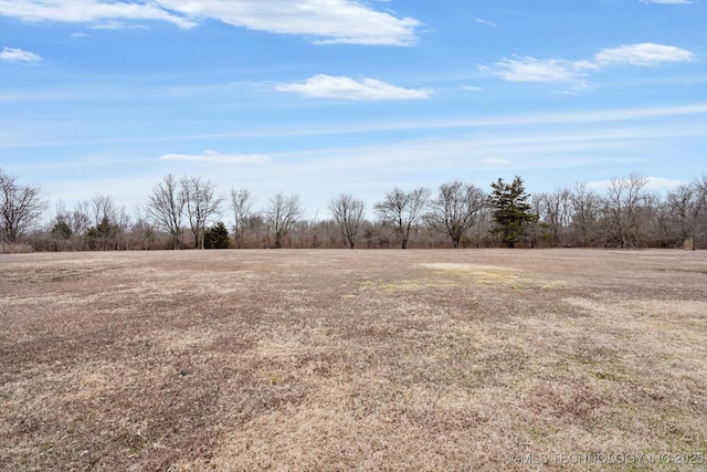 view of yard with a rural view