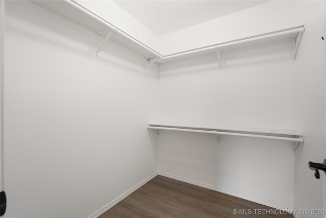 spacious closet featuring dark wood-type flooring