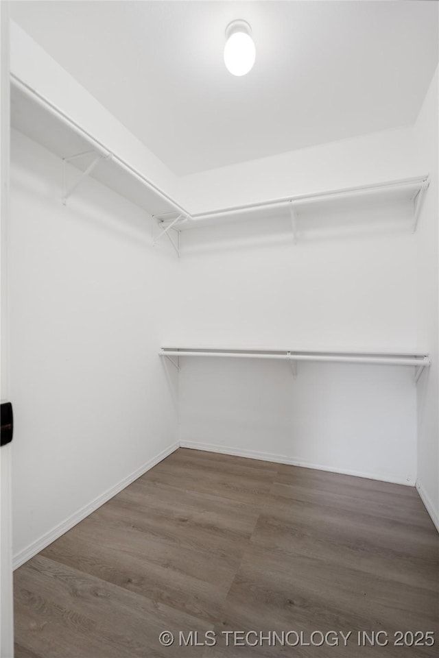 walk in closet featuring dark wood-type flooring