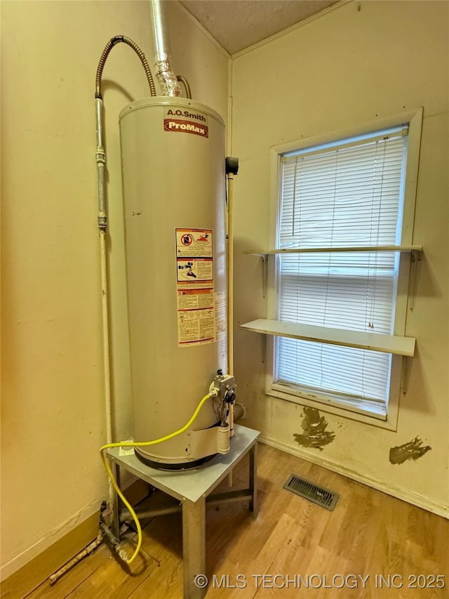 utilities featuring gas water heater