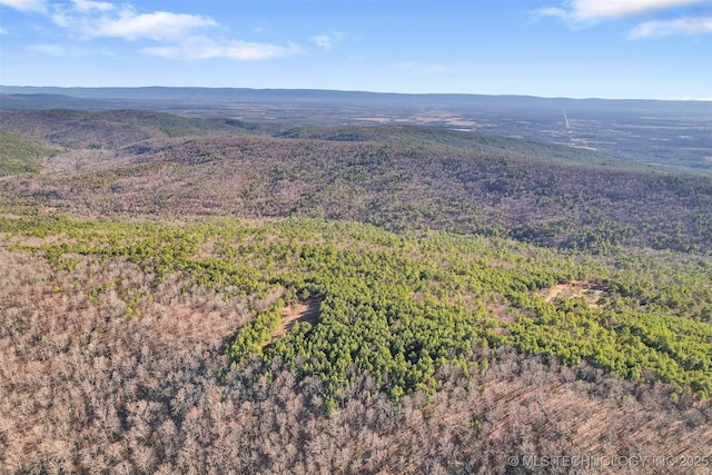 drone / aerial view featuring a mountain view