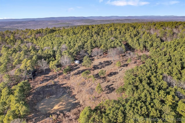 drone / aerial view featuring a mountain view